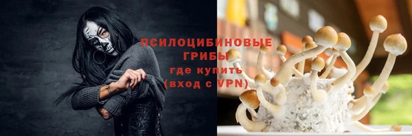 гашик Арсеньев