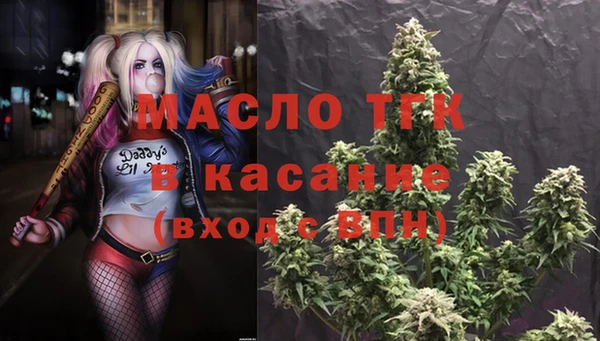 индика Аркадак