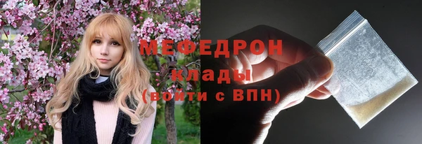 индика Аркадак