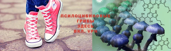 индика Аркадак