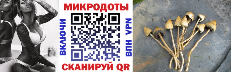 Псилоцибиновые грибы Magic Shrooms  закладки  Давлеканово 