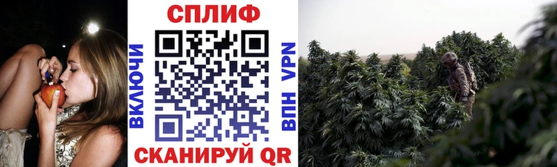 Конопля семена цены Давлеканово